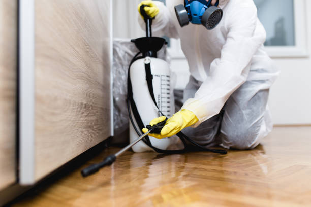 Best Mosquito Control Services  in Coal Fork, WV
