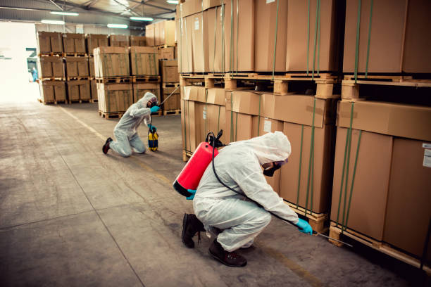 Best Pest Control for Restaurants  in Coal Fork, WV