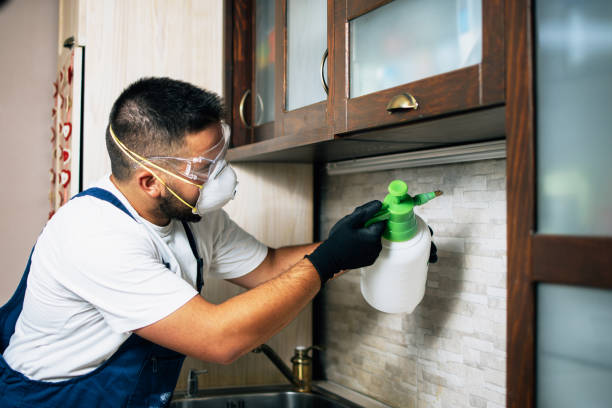 Best Cockroach Control Services  in Coal Fork, WV