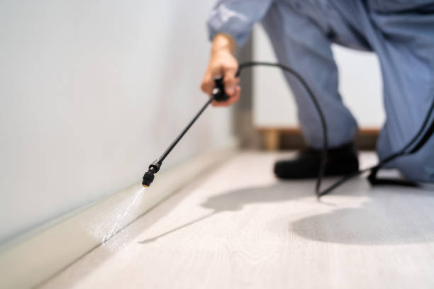 Professional Pest Control in Coal Fork, WV