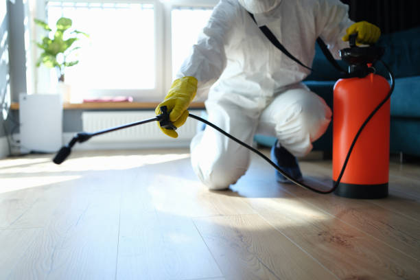 Best Affordable Pest Control Services  in Coal Fork, WV