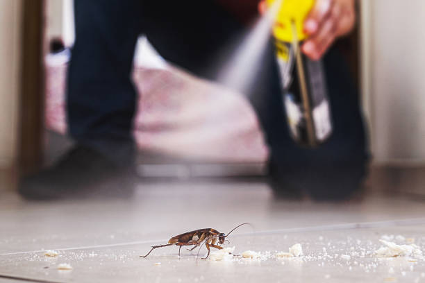 Best Best Pest Control Companies  in Coal Fork, WV